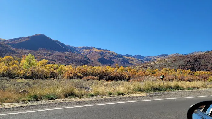 Pine Creek Campground Picture 6