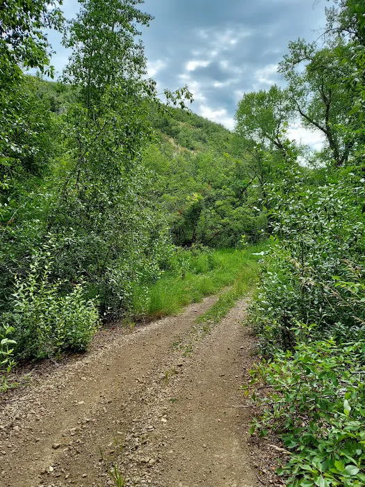 Pine Creek Campground Picture 7