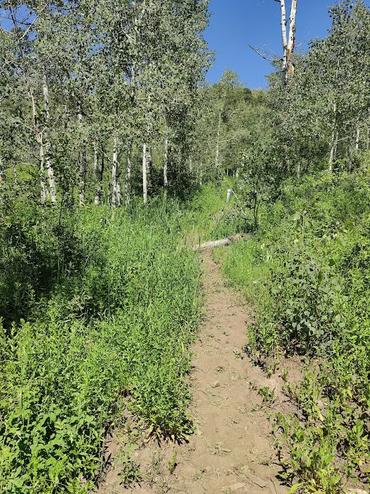 Aspen Meadows Recreation Camp Picture 10