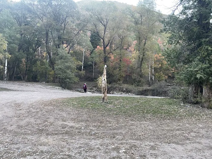 Ophir Campgrounds Picture 1