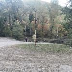 Ophir Campgrounds