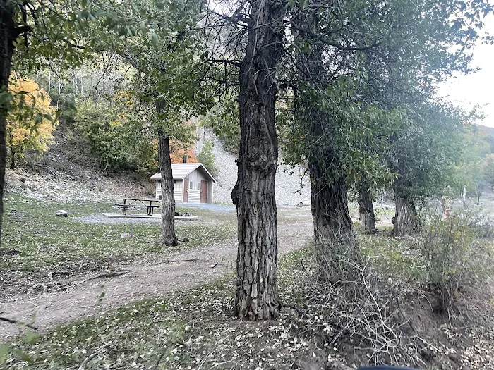 Ophir Campgrounds Picture 2