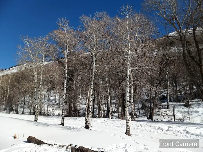 Ophir Campgrounds Picture 6