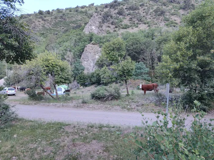 Ophir Campgrounds Picture 5