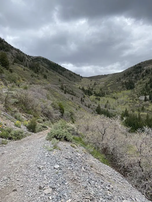 Ophir Campgrounds Picture 9