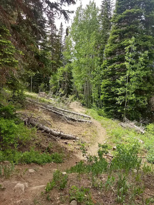 Cottonwood Campground Picture 4