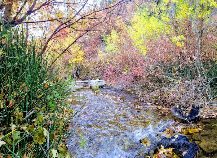 Cottonwood Campground Picture 10