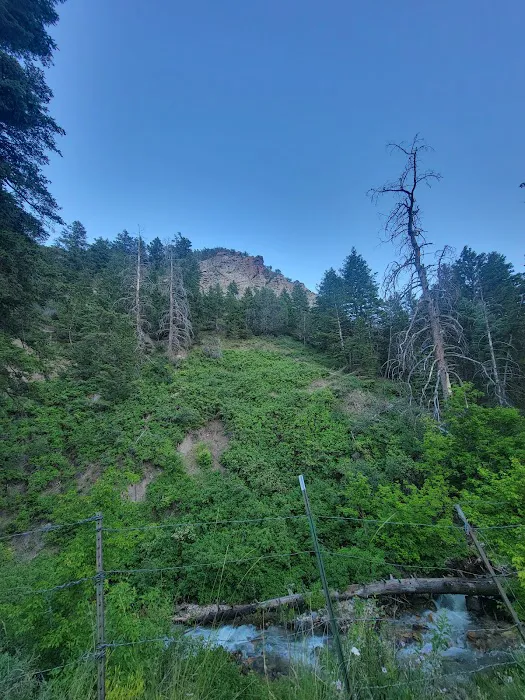 Intake Campground Picture 1