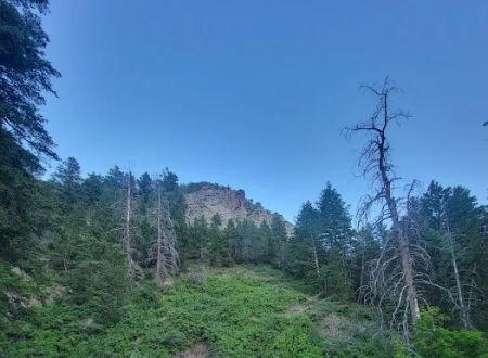 Intake Campground