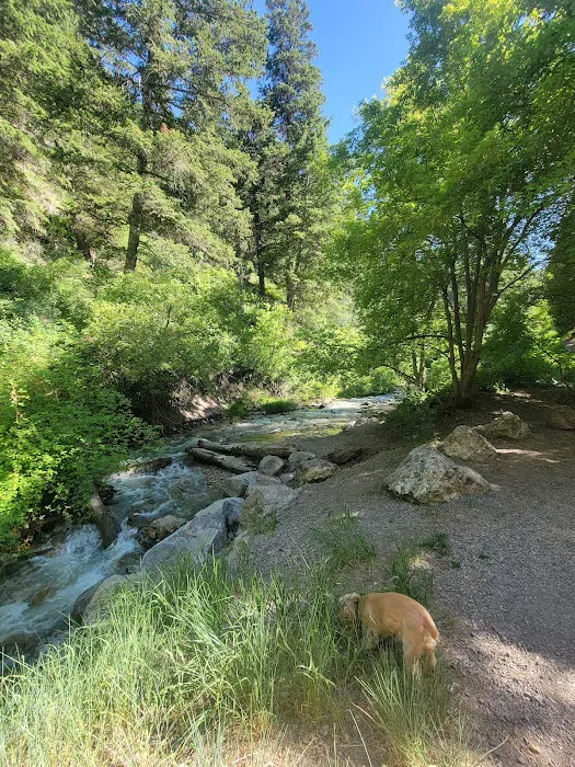 Intake Campground Picture 2