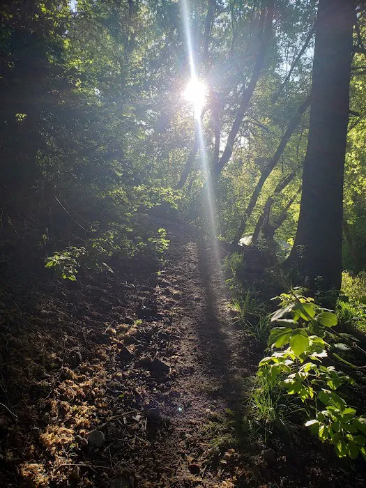 Intake Campground Picture 4