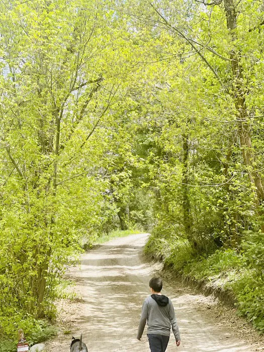 Intake Campground Picture 6