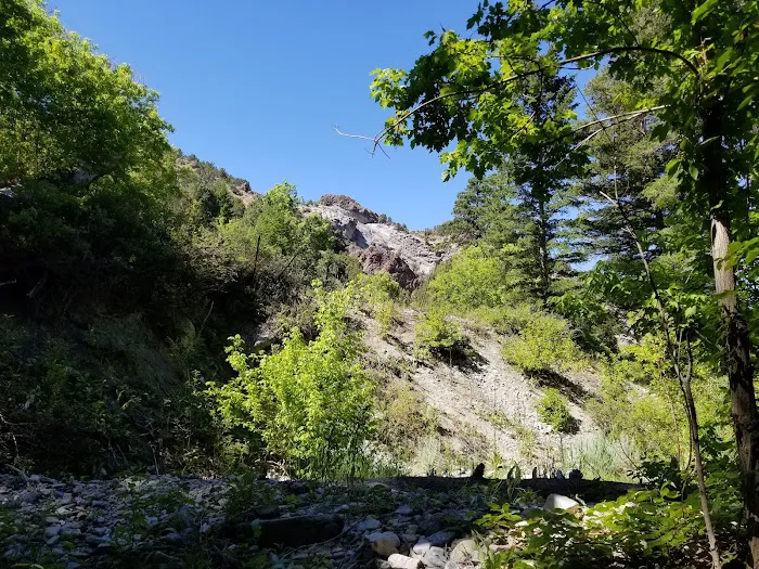 Intake Campground Picture 10