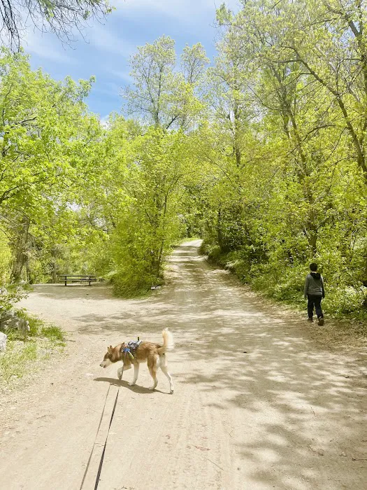 Intake Campground Picture 9