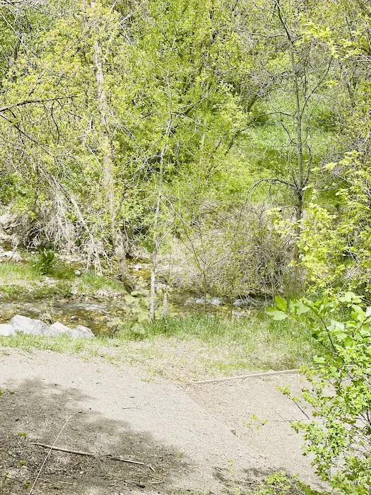 Boy Scout Campground Picture 8