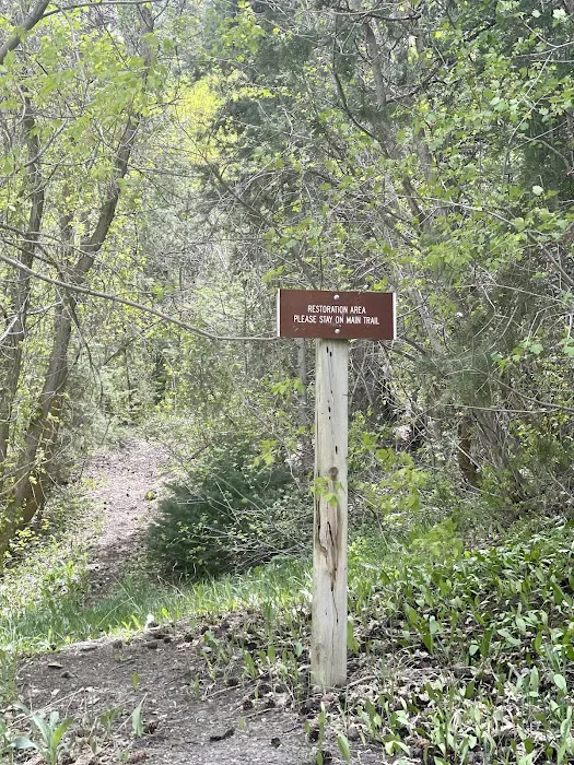 Boy Scout Campground Picture 7