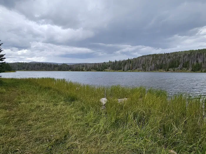 Boy Scout Campground Picture 10