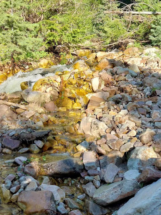 North Willow Campground Picture 6