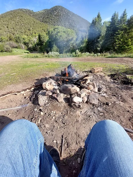 North Willow Campground Picture 10