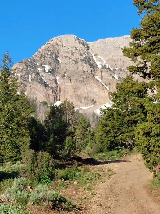 North Willow Campground Picture 9