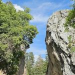 Upper Narrows Campground