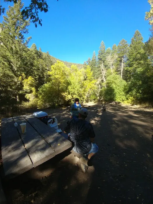 Upper Narrows Campground Picture 6