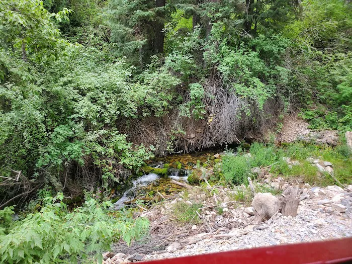 Upper Narrows Campground Picture 7
