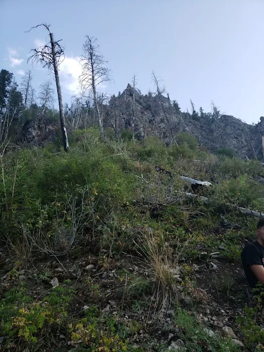 Upper Narrows Campground Picture 8
