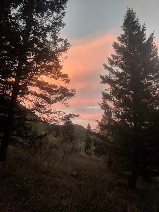 Loop Campground Picture 1