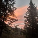 Loop Campground