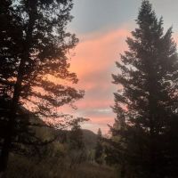 Loop Campground ico