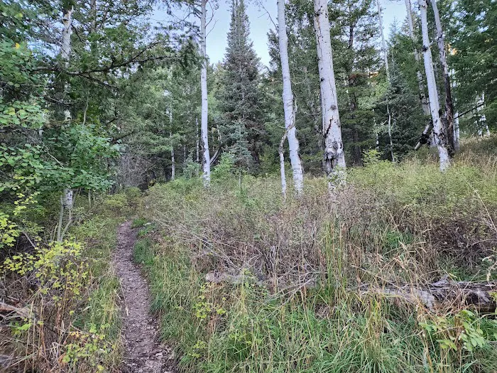 Loop Campground Picture 5