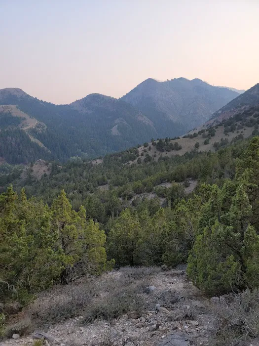 Loop Campground Picture 8