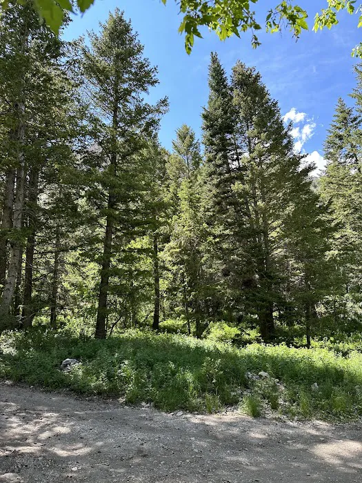 Loop Campground Picture 10