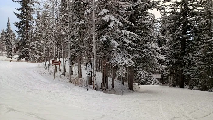 Altamont Group Campground Picture 6