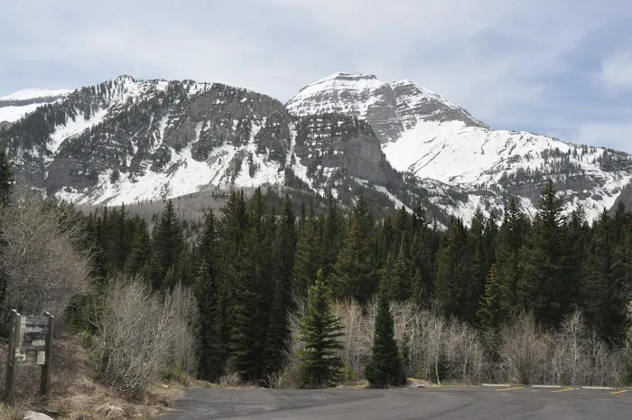 Altamont Group Campground Picture 4