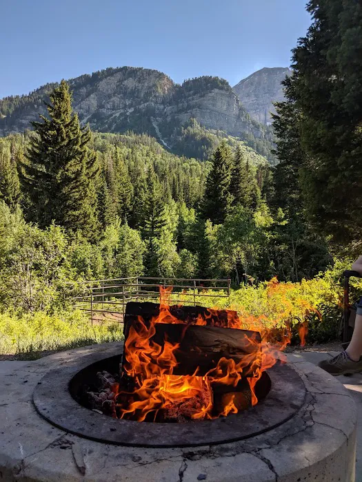 Timpooneke Campground Picture 5