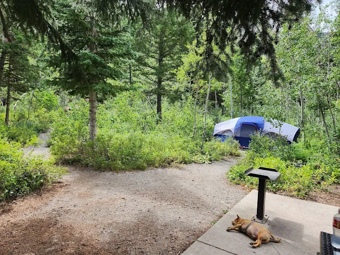Timpooneke Campground Picture 7
