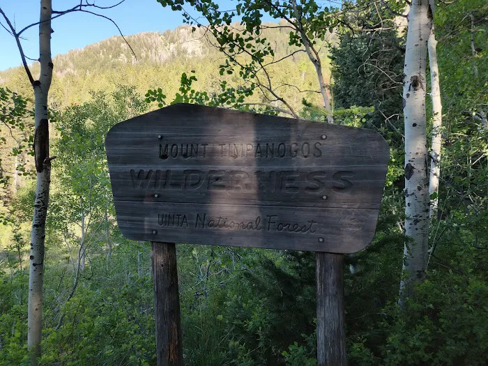 Timpooneke Campground Picture 8