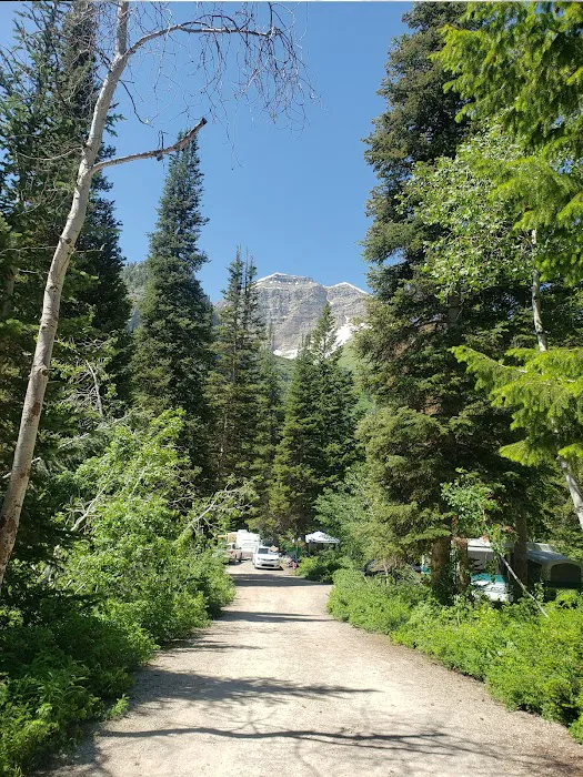 Timpooneke Campground Picture 10