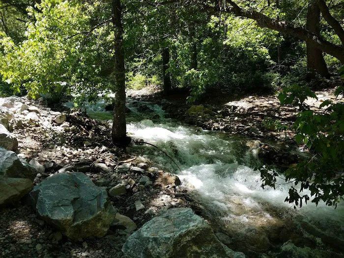 Mount Timpanogos Campground Picture 6
