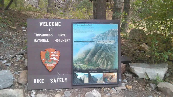 Mount Timpanogos Campground Picture 5
