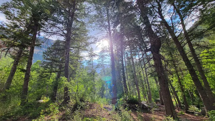 Mount Timpanogos Campground Picture 9