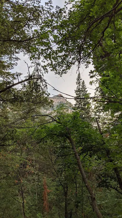 Mount Timpanogos Campground Picture 7
