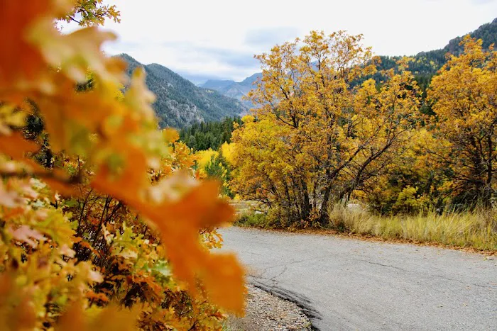 Mount Timpanogos Campground Picture 8