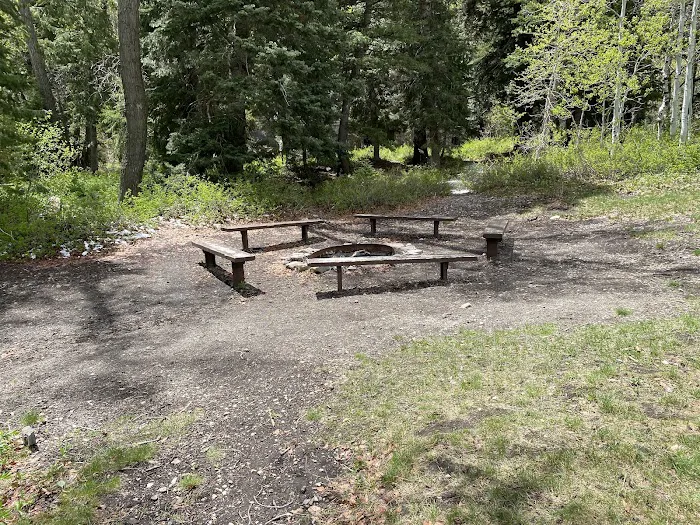 Theater-in-the-Pines Group Campground Picture 9