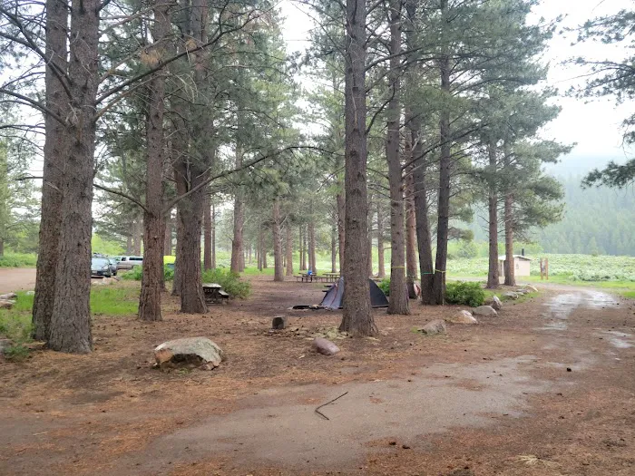 Ponderosa Group Campground Picture 2