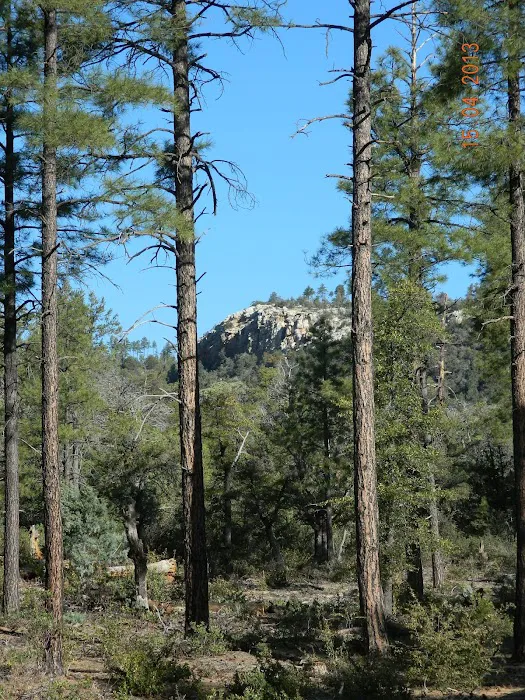 Ponderosa Group Campground Picture 4