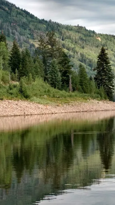 Ponderosa Group Campground Picture 6