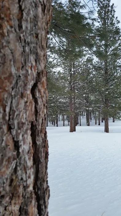 Ponderosa Group Campground Picture 5